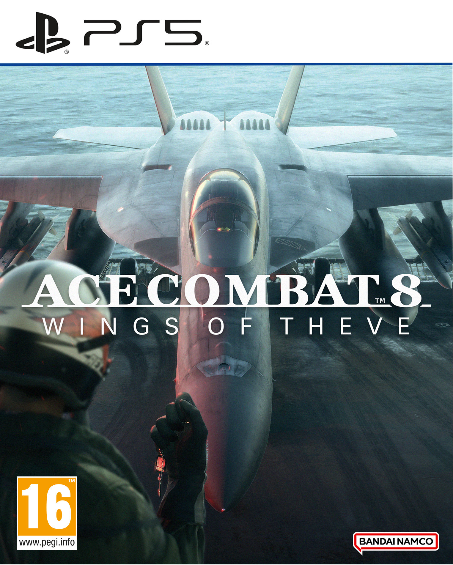 Ace Combat 8 Wings of Theve voor PlayStation 5