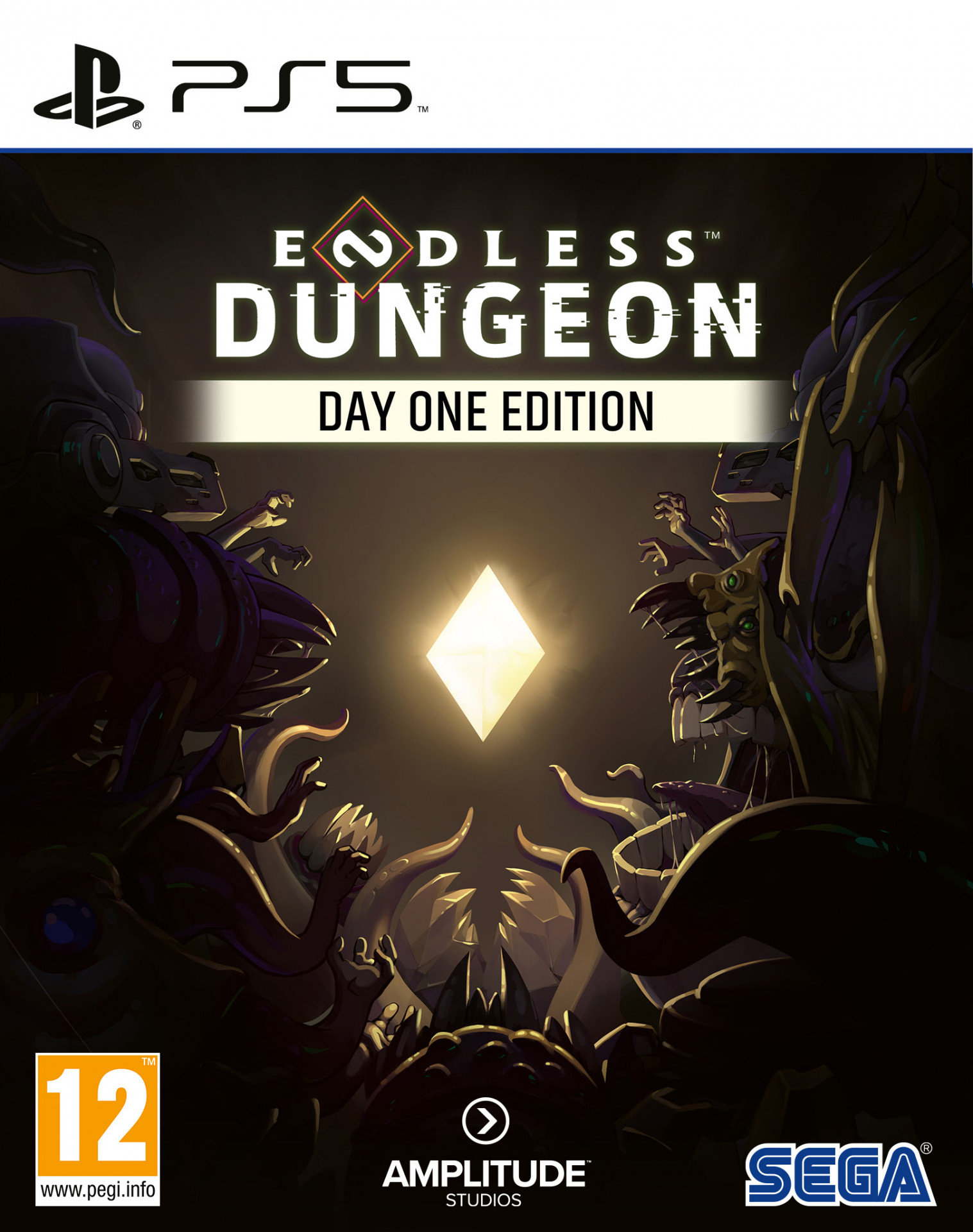 Endless Dungeon Day One Edition voor PlayStation 5