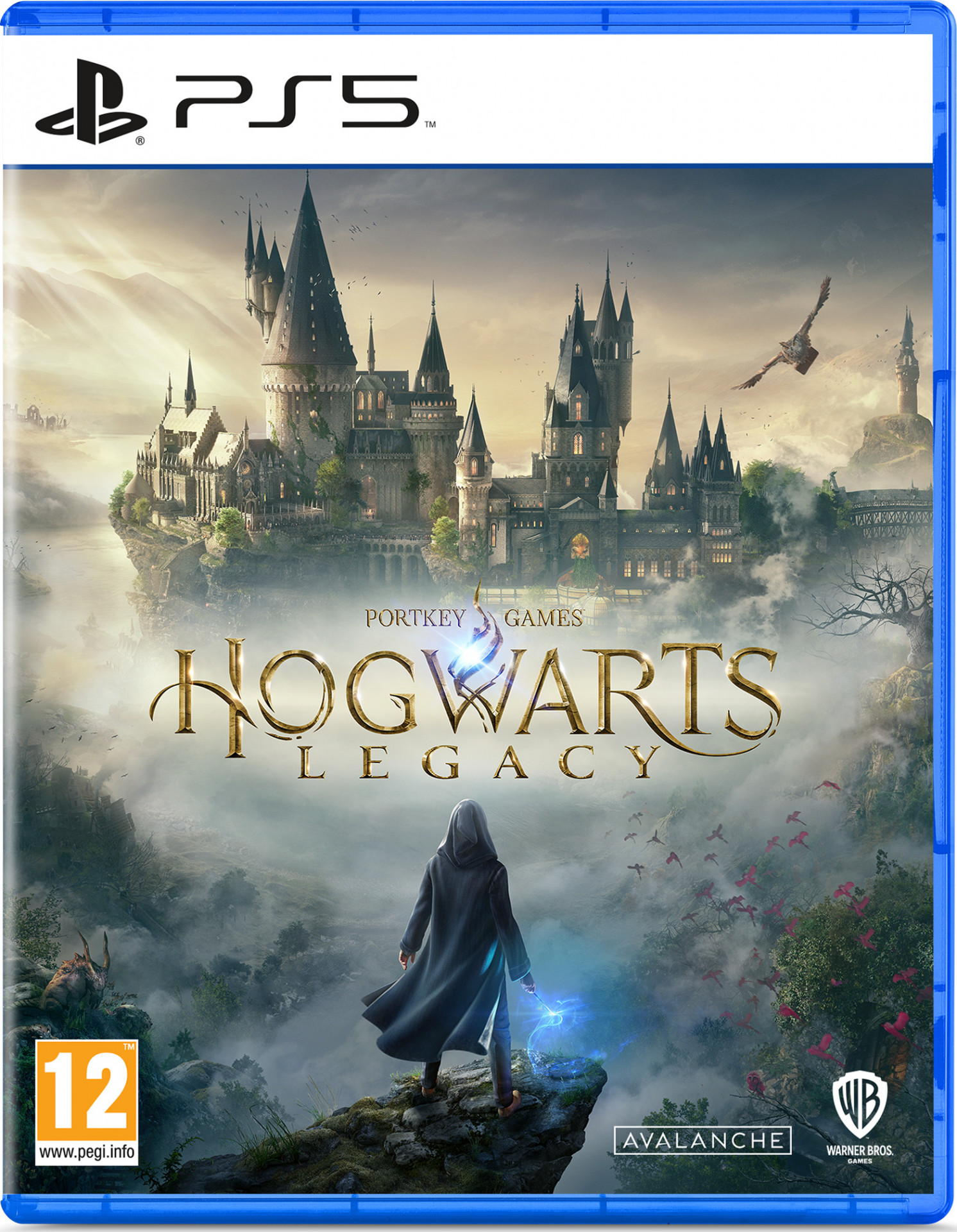 Hogwarts Legacy voor PlayStation 5
