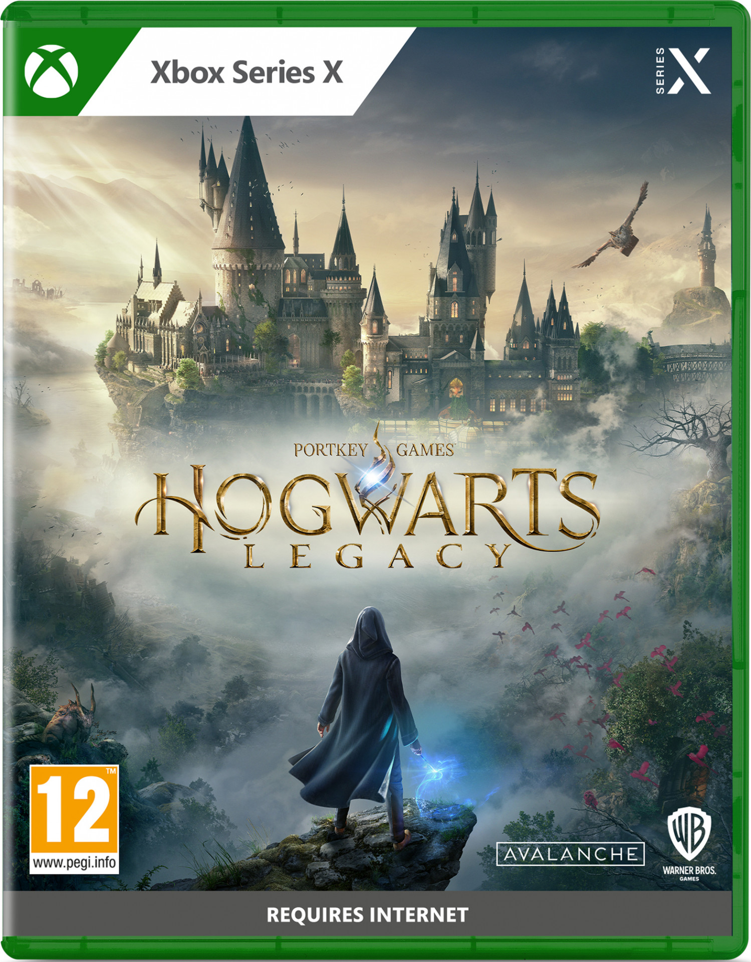 Hogwarts Legacy voor Xbox Series X